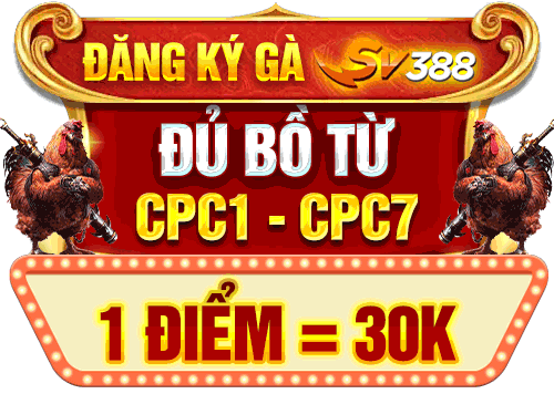 đk gà sv388
